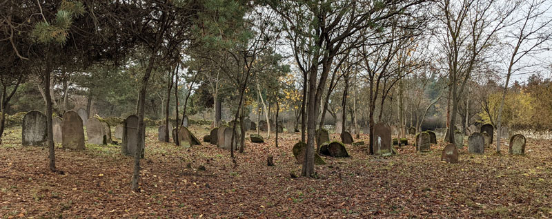 Cmentarz żydowski