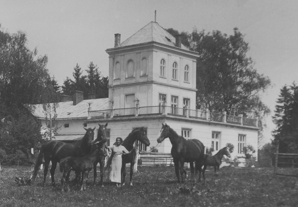 Konie przed dworem w Jaryczowie
