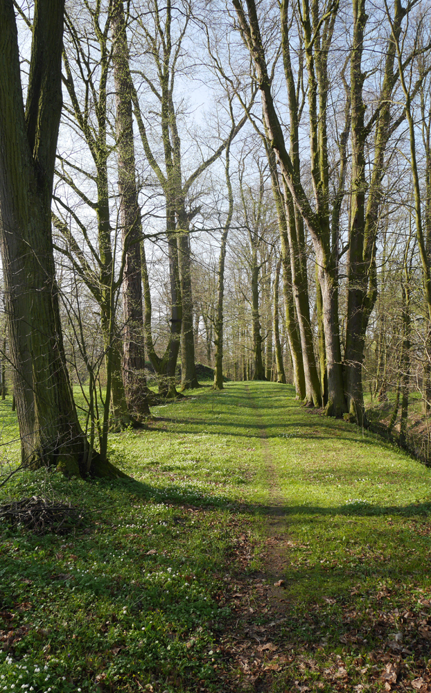 Obwodnica parkowa