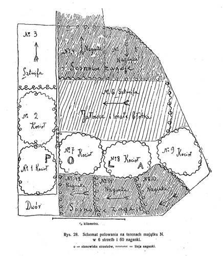 Schemat polowania
