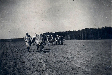 Wykopki