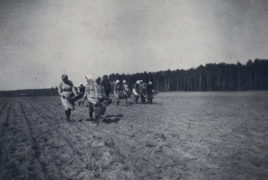 Wykopki